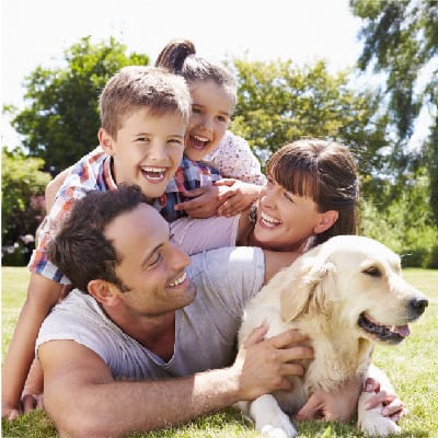 Family and dogs