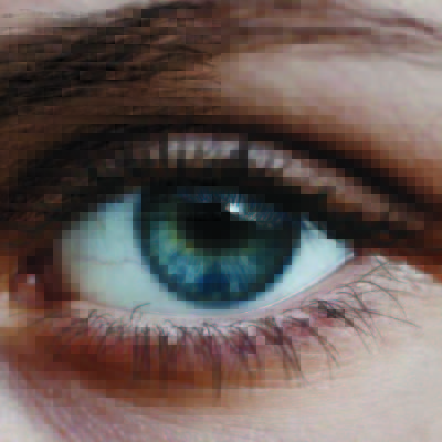 eye
